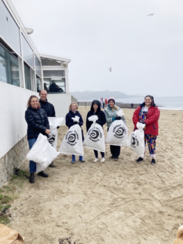 Some of our team supporting Ocean Network's beach clean in Cornwall